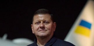 Залужний розкритикував вступ України в НАТО