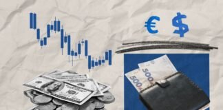Долар і євро подешевшали: курс валют НБУ на 5 серпня та чому важлива кредитна історія