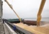 Експорт зерна з України може скоротитися на 53% через атаки РФ на порти, – Bloomberg