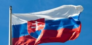 У Словаччині розповіли деталі спроби підпалу українського заводу Skyeton