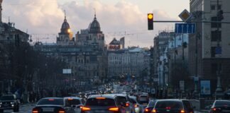 Авто “проситься” у вашу смугу: чи повинні ви його пропустити