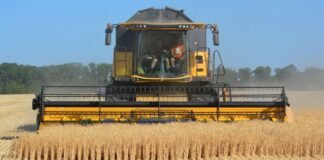 Уряд готує пакет підтримки аграріїв через російські атаки на порти