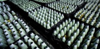 У Литві з’явиться завод боєприпасів для потреб України та НАТО