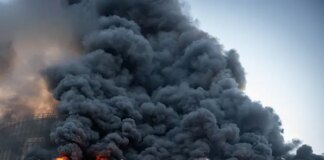 Блокада зернового експорту. «Нібулон» розказав, як рятує ситуацію і скільки це йому коштує