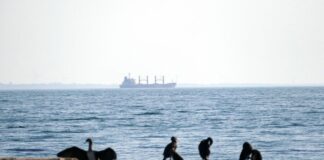 Російські атаки майже зупинили експорт через порти Великої Одеси, – The Telegraph
