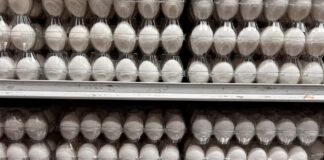 Яйця подорожчали: які ціни на продукти пропонують супермаркети 31 серпня